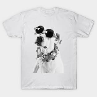 Cool Dog Wearing Glasses and Accessories T-Shirt